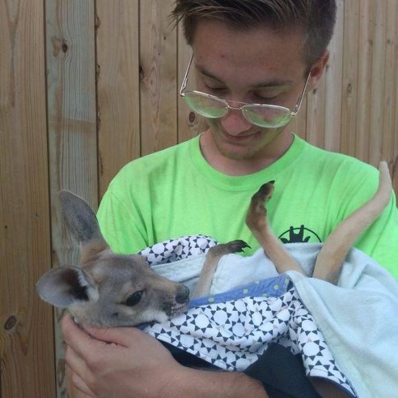 Meet your Posher, Caleb - Picture 1 of 1